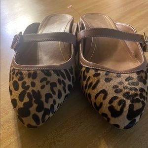 Leopard  Vionic Mules with Carmel straps